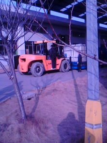 上海奉贤区金汇大件吊装服务全解析 汽车吊出租、厂房搬迁与装卸搬运一体化解决方案